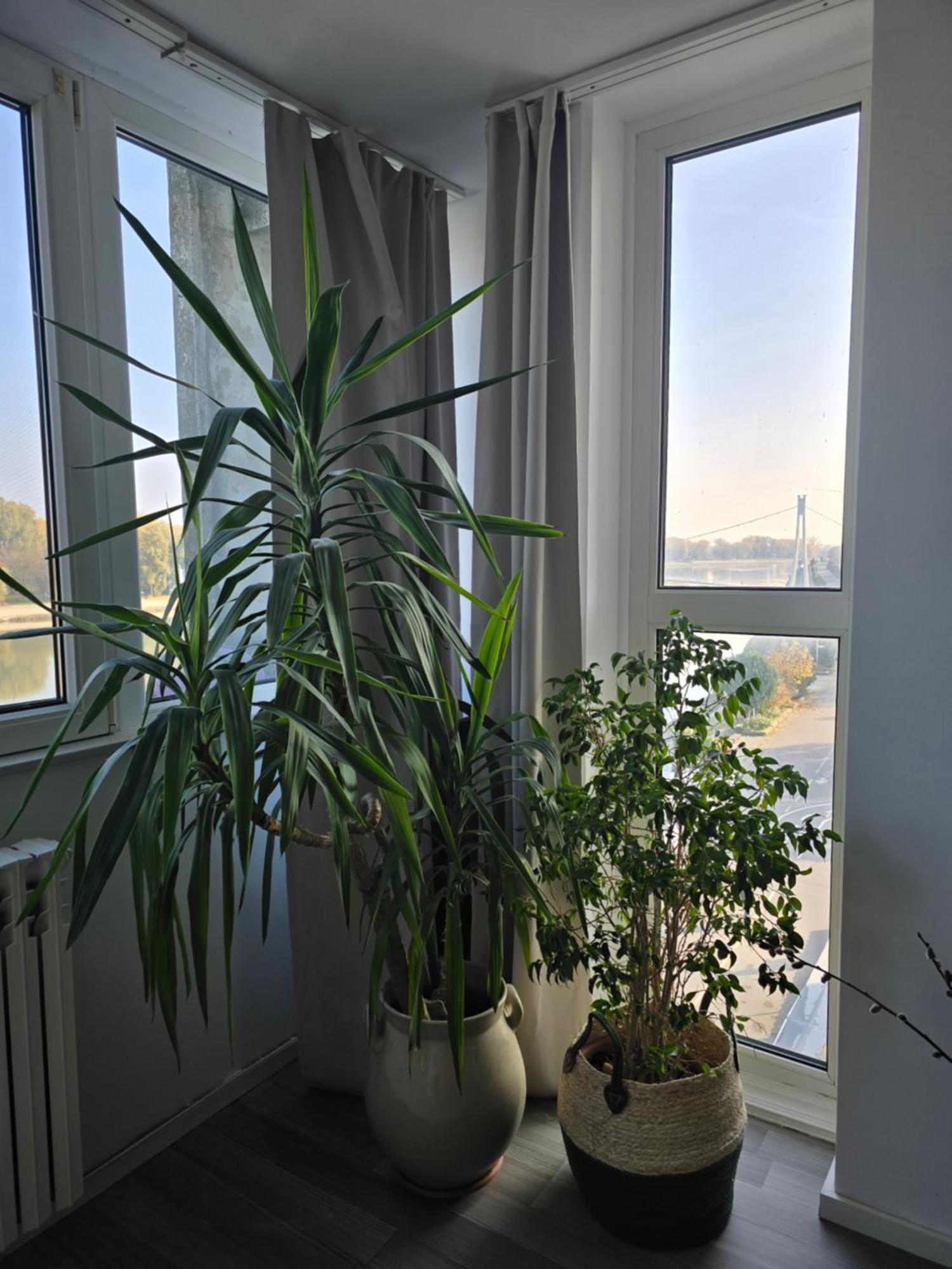 Riverview Apartment Όσιγιεκ Εξωτερικό φωτογραφία